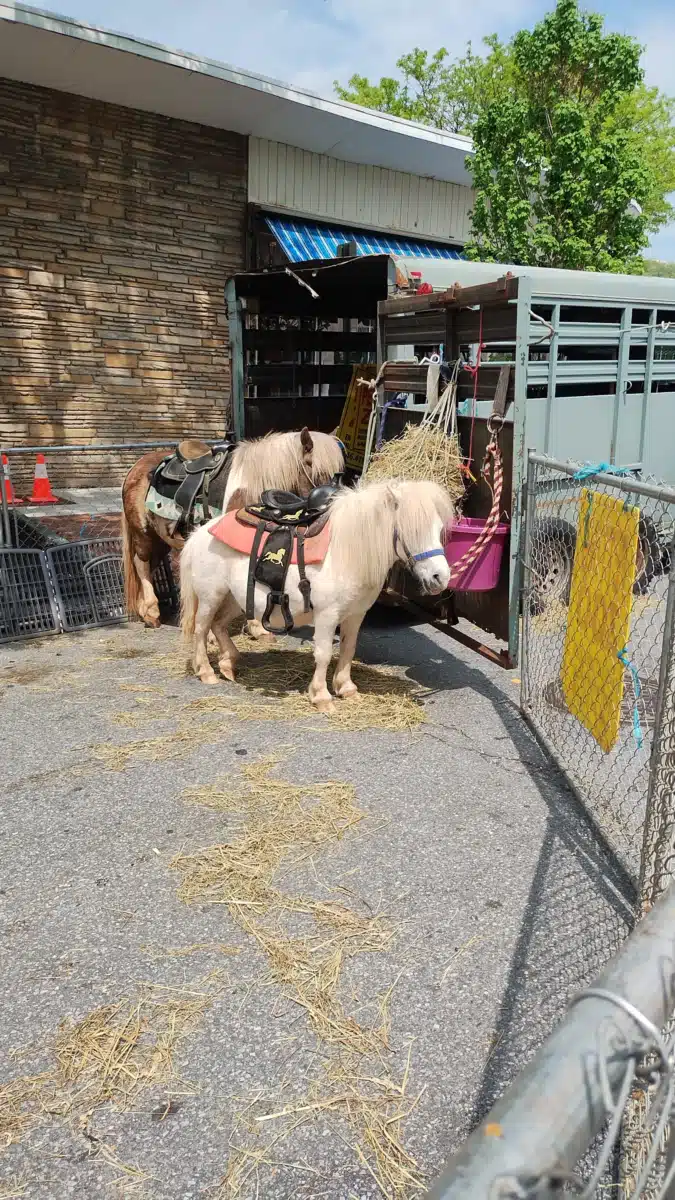 Peekskill Clinic - Hero Image