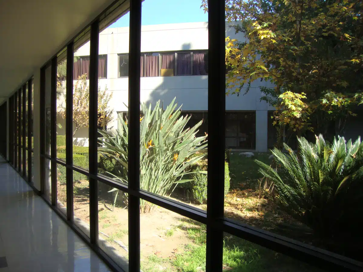 Phoenix House of Los Angeles Inc - Thumbnail 5