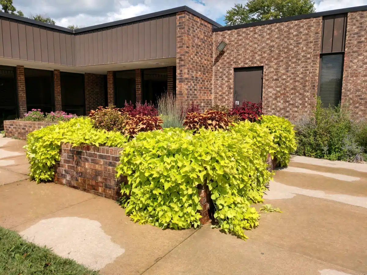 Prairie View Inc - Thumbnail 2