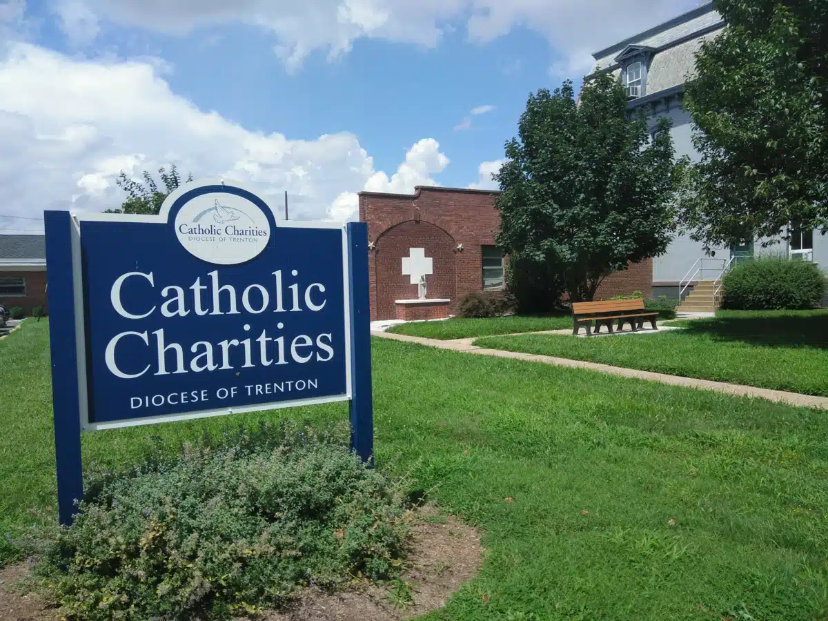 Project Free - Thumbnail 5