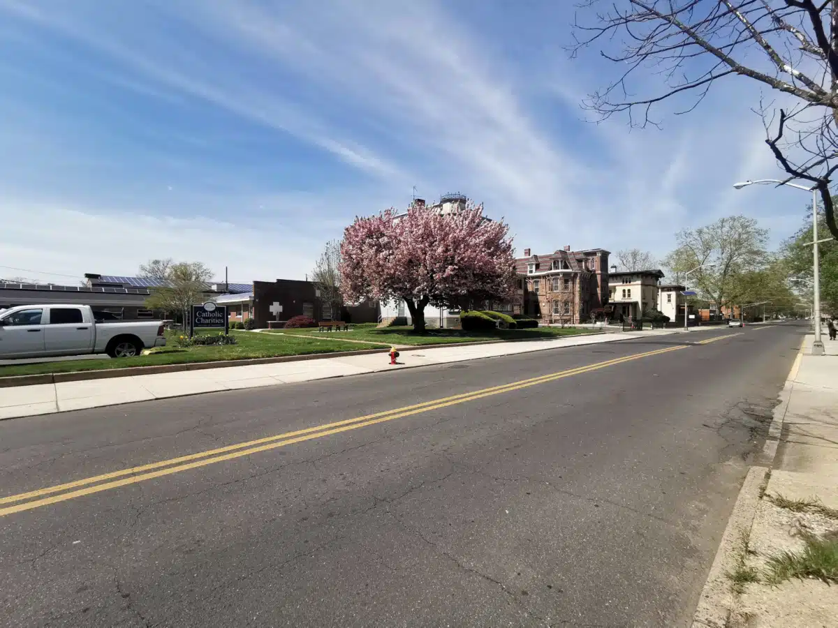 Project Free - Thumbnail 9