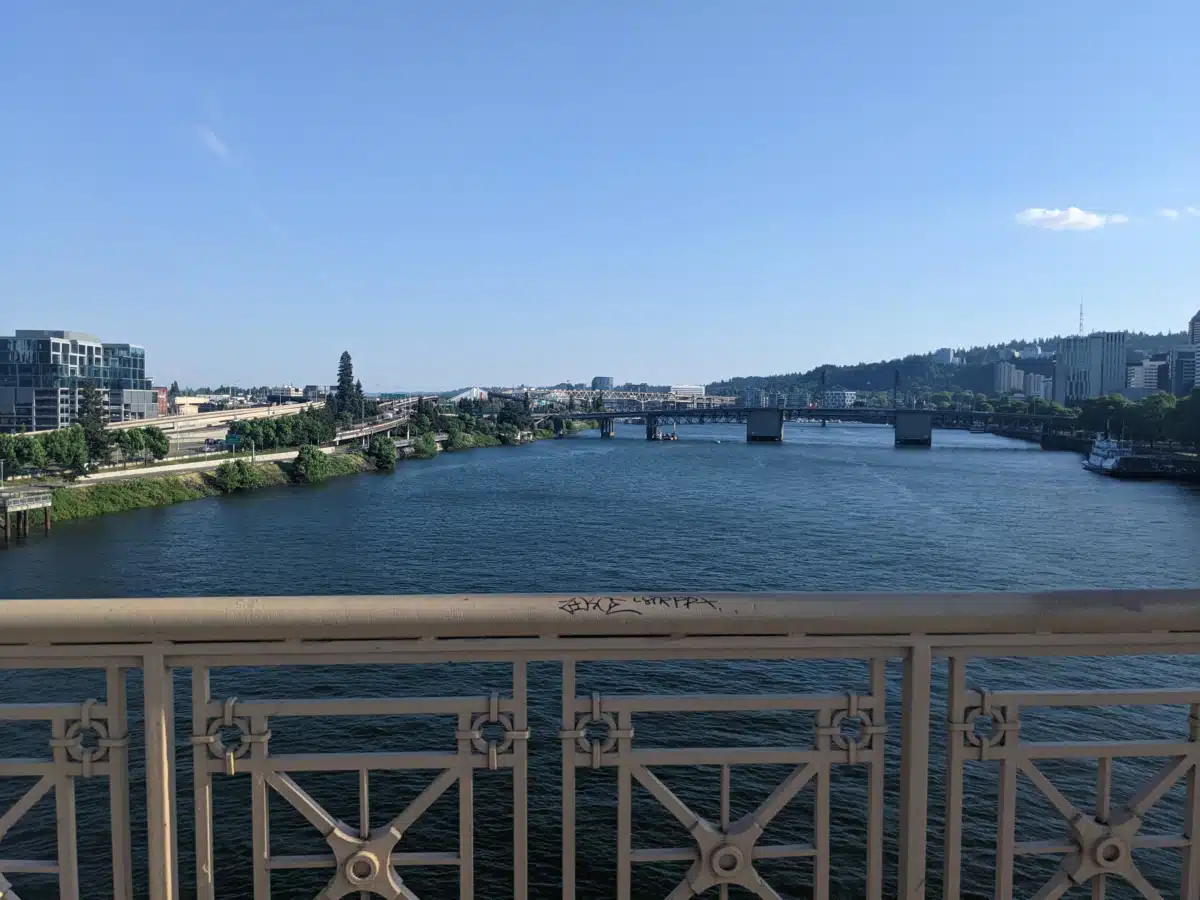 Puentes - Thumbnail 2