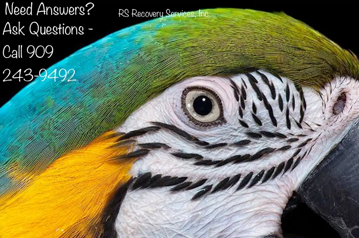 RS Recovery Services Inc - Thumbnail 10