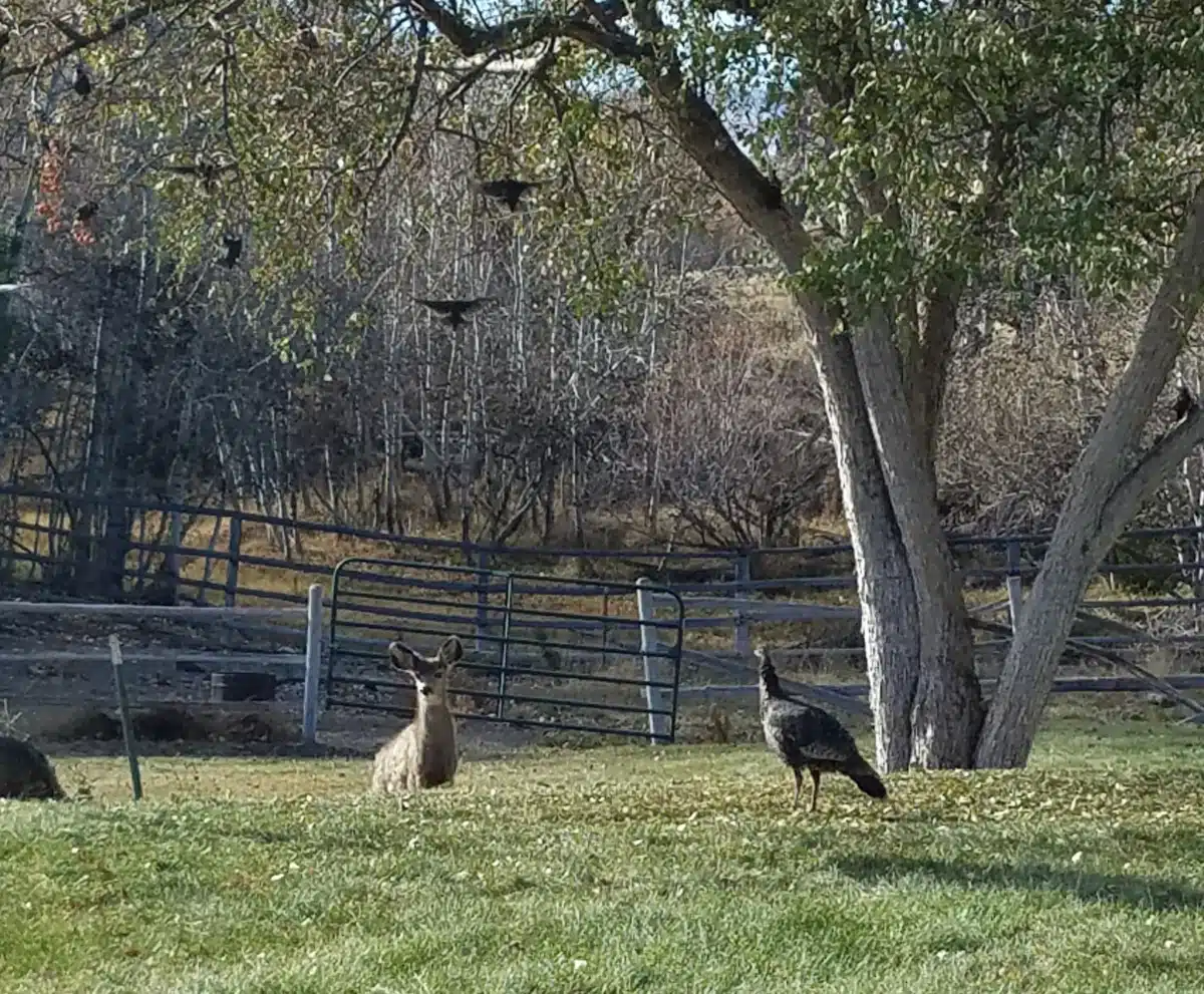 Rainbows End Recovery Center LLC - Thumbnail 4