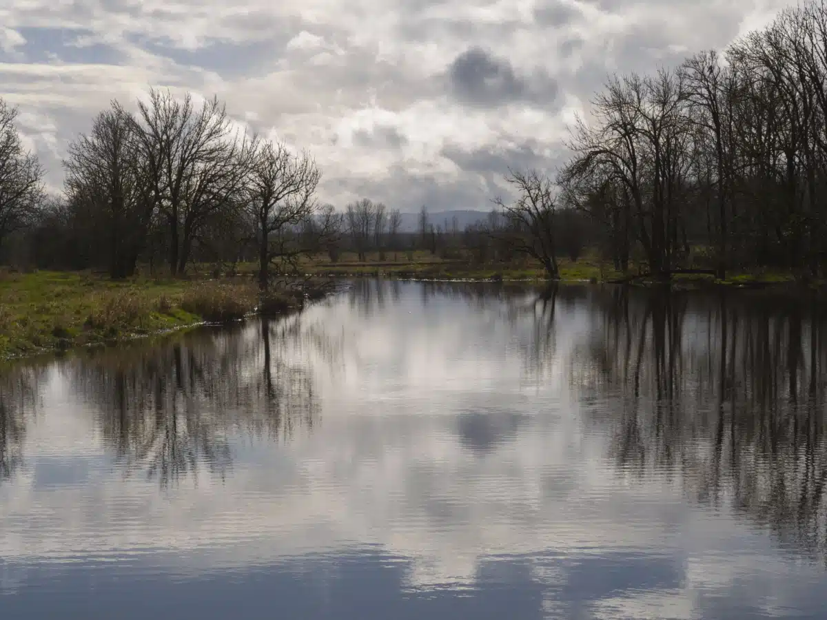 Recovery Village Ridgefield - Thumbnail 2