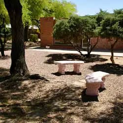 Reflections Family Services Inc - Thumbnail 4