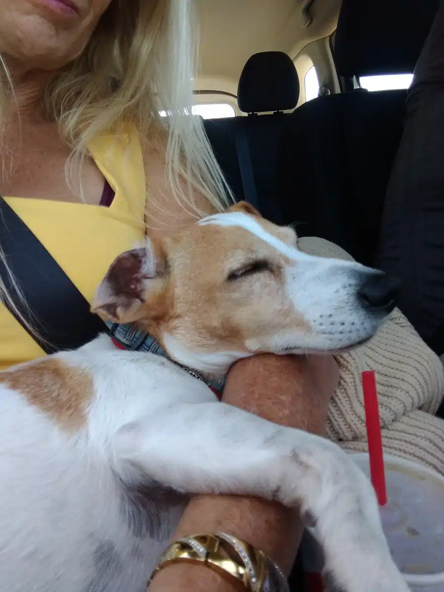 RestorationCity - Thumbnail 10