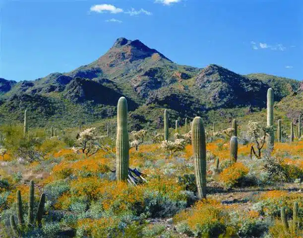 Rosewood Centers for Eating Disorders - Thumbnail 10