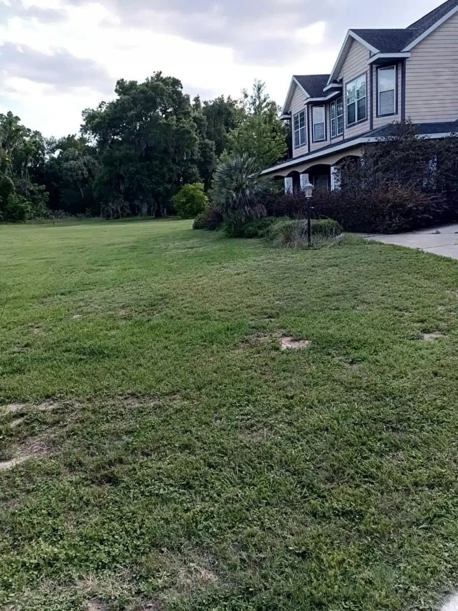 SMA Adult Residential - Thumbnail 3