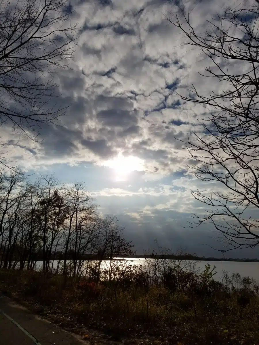 Saint Anthonys - Thumbnail 6