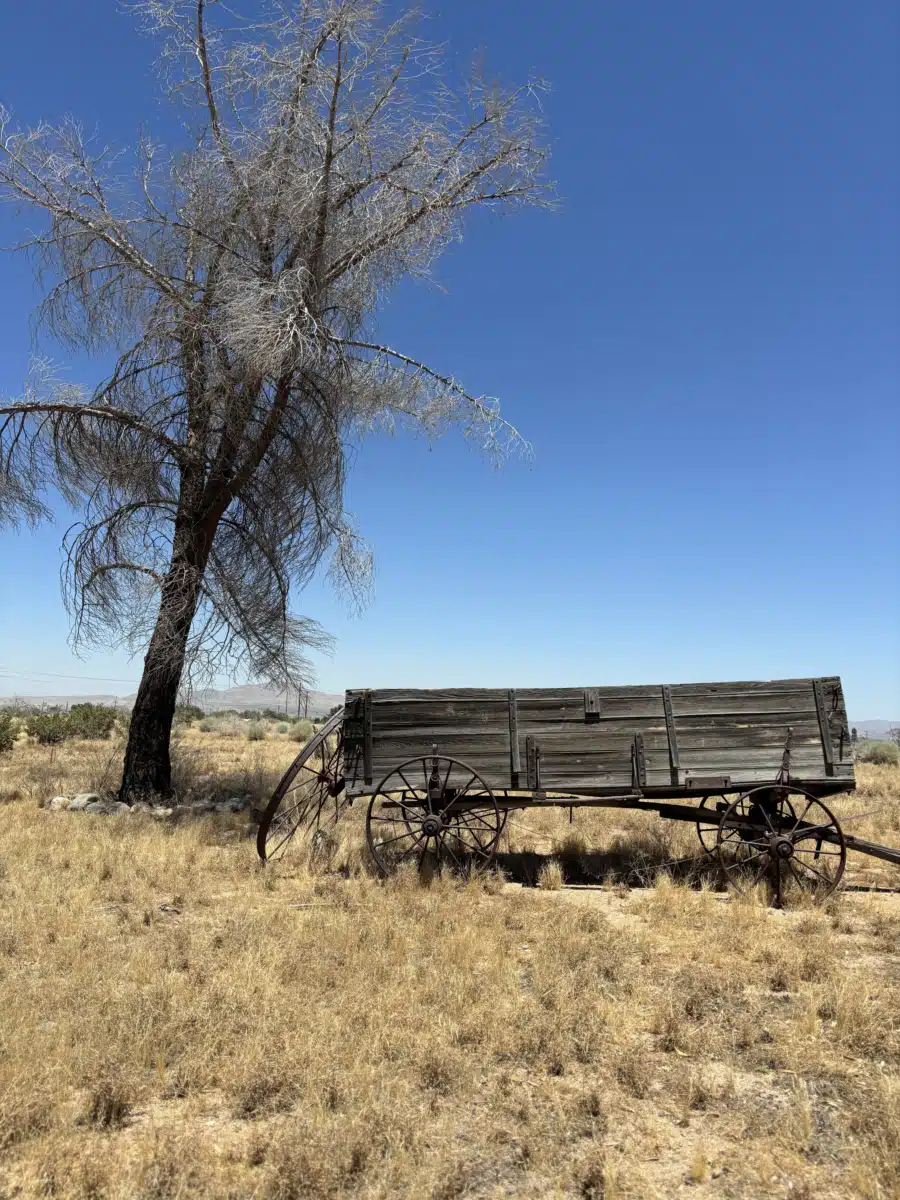 Saint John of God Healthcare Services - Thumbnail 4