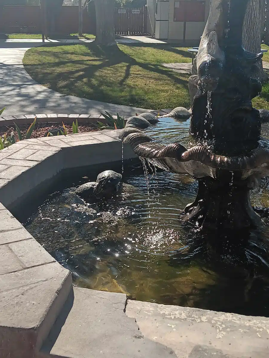 Saint John of God Healthcare Services - Thumbnail 9