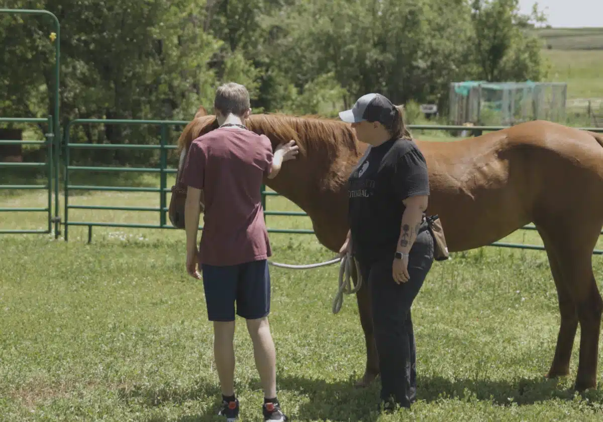 Sanstone Care - Thumbnail 3