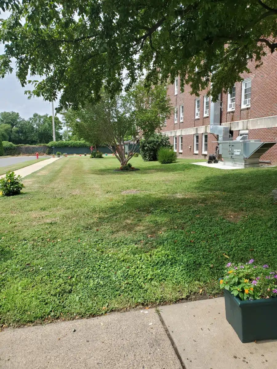 Self Help Movement Inc