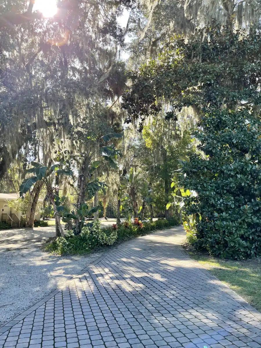 Serenity Springs Recovery Center - Thumbnail 3