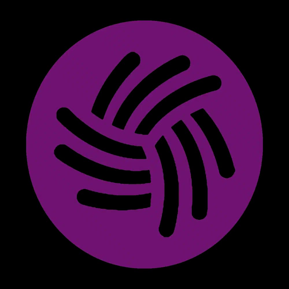 ServiceNet Inc - Preview