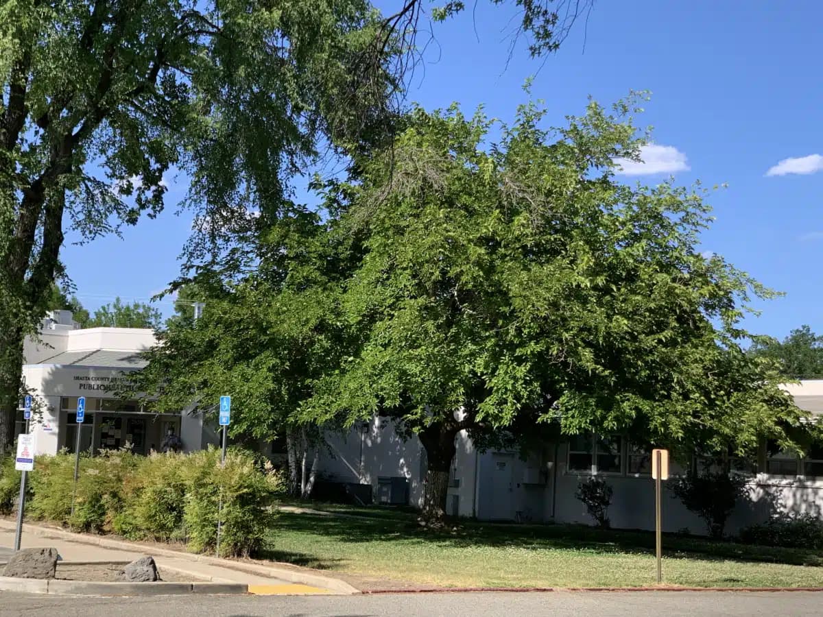 Shasta County Health and Human Servs - Thumbnail 2