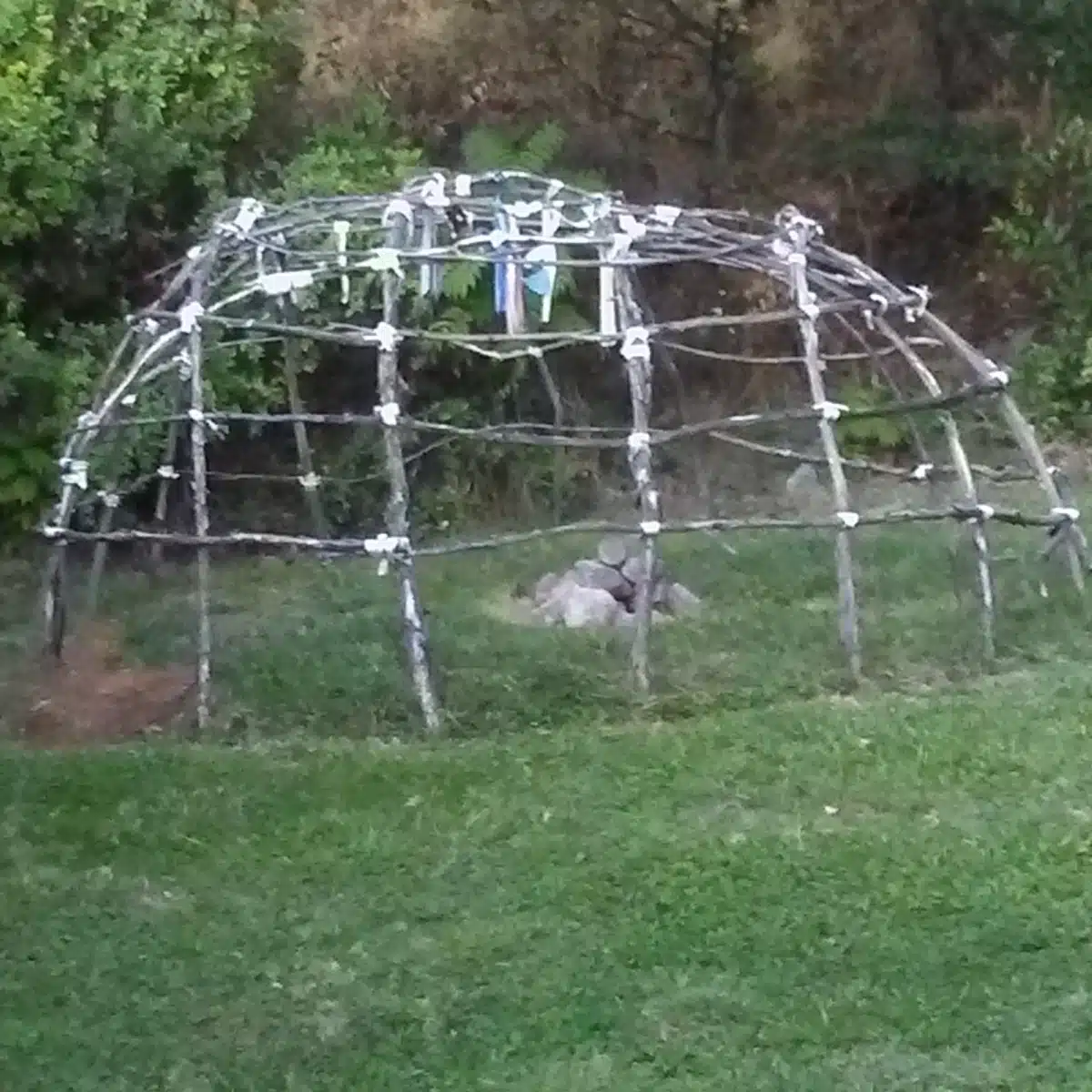 Sierra Native Alliance - Thumbnail 2