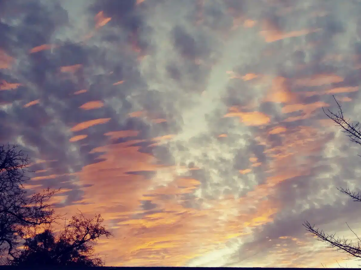 Skyway House Residential - Thumbnail 2