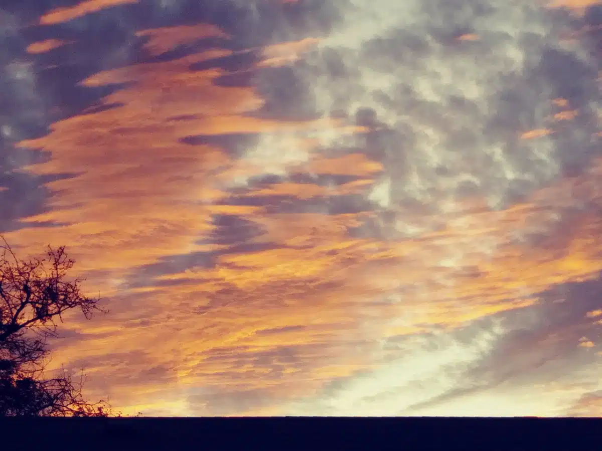 Skyway House Residential - Thumbnail 9