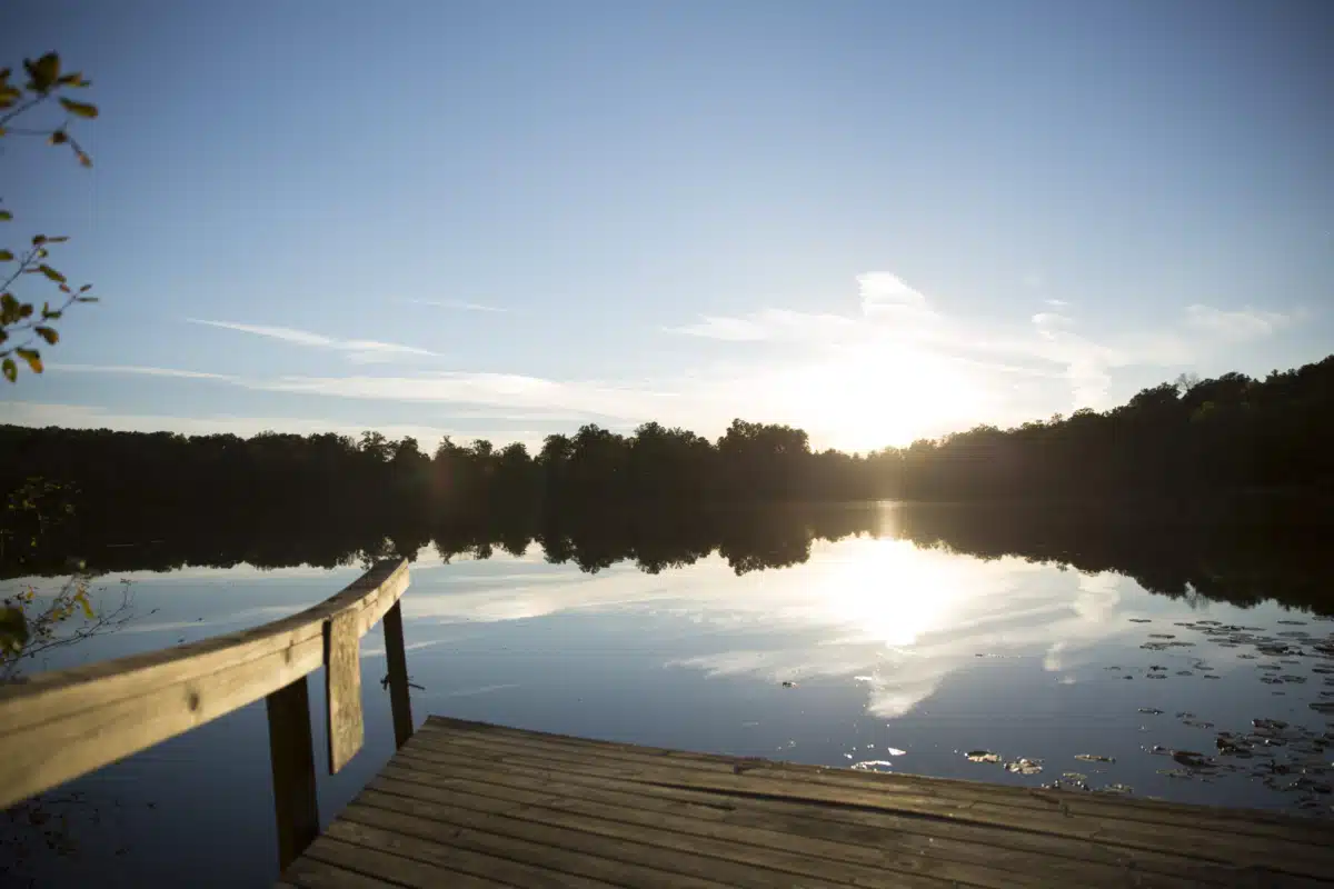 Skywood Recovery - Thumbnail 10