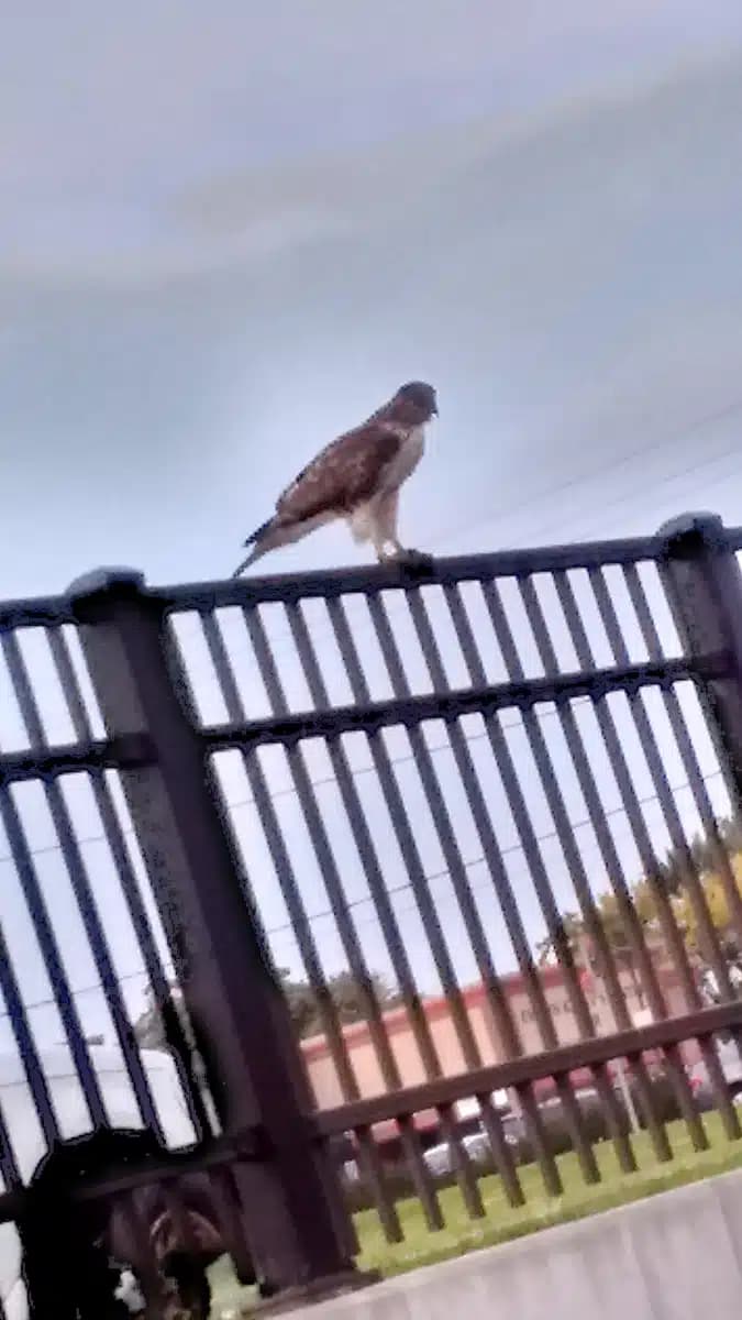 Sober Strategies Inc - Thumbnail 7