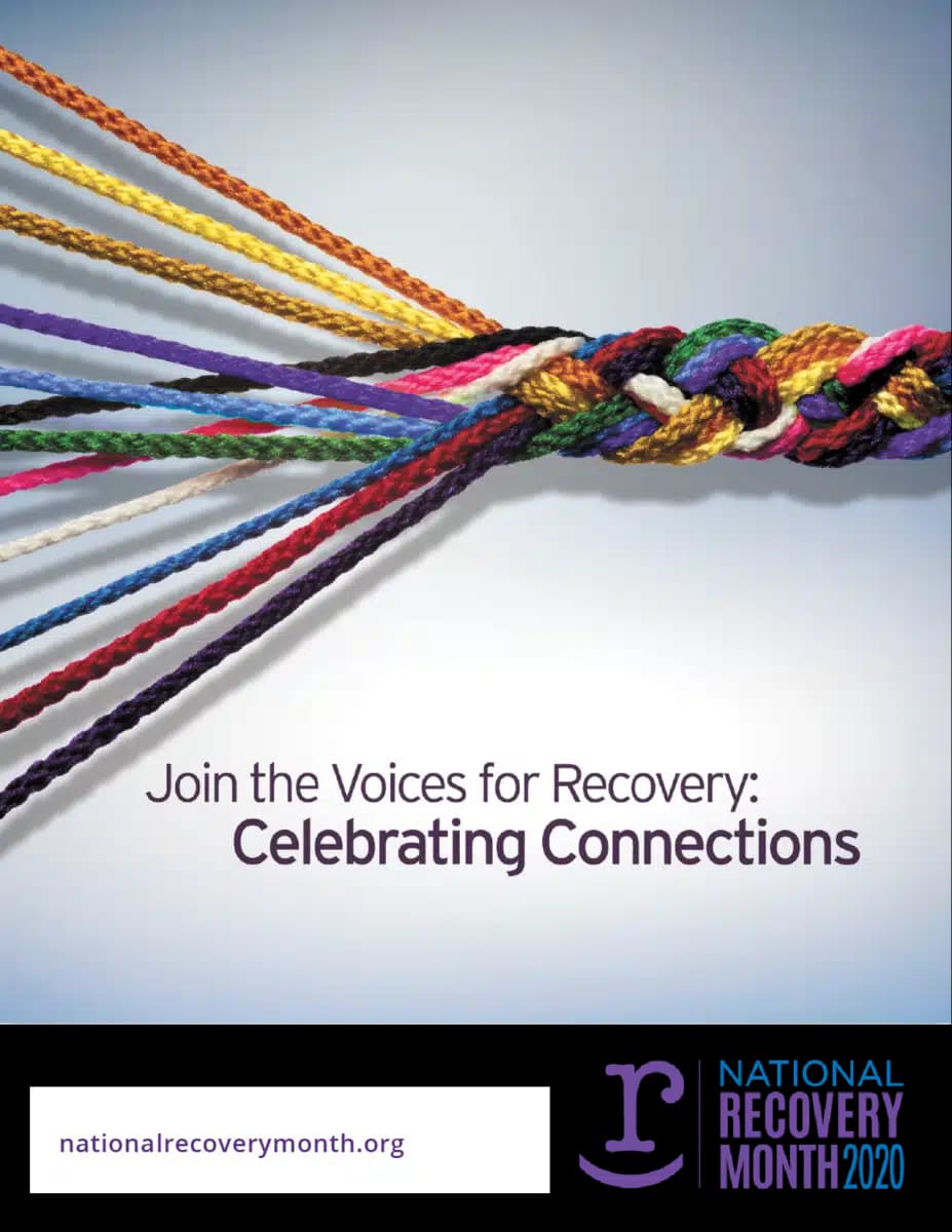 South Suburban Council on - Thumbnail 9