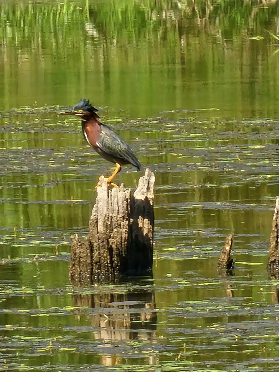 SpiritLife Inc - Thumbnail 5