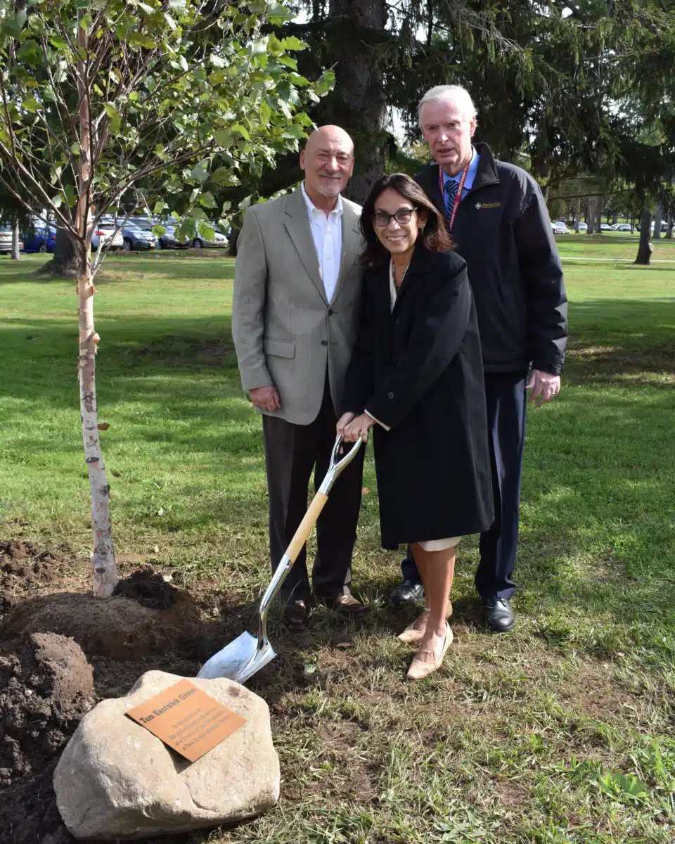 Spring House - Thumbnail 8