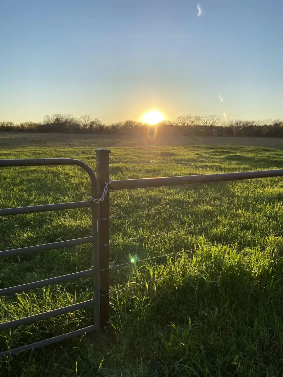 Stonegate Center - Thumbnail 9