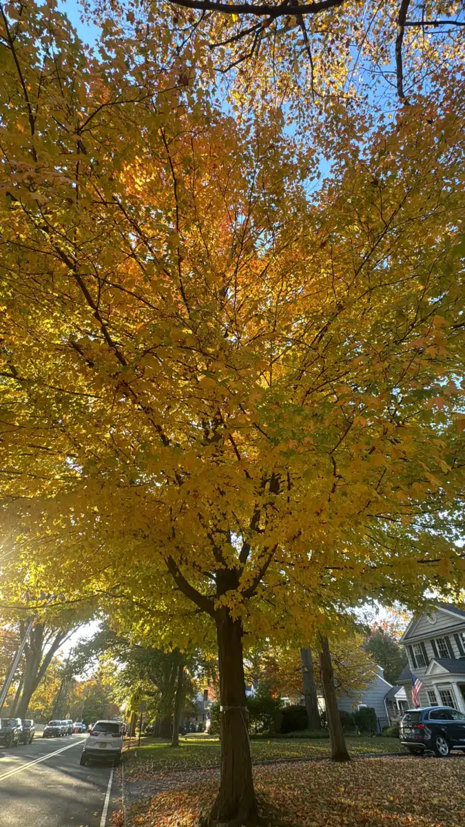 Summit Oaks Hospital - Thumbnail 9