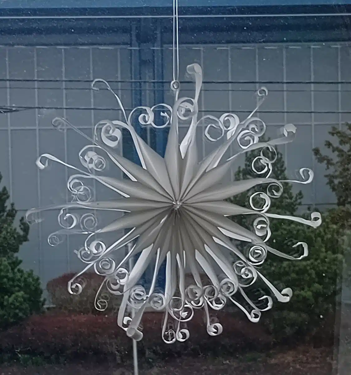 Sunrise Services Inc - Thumbnail 3