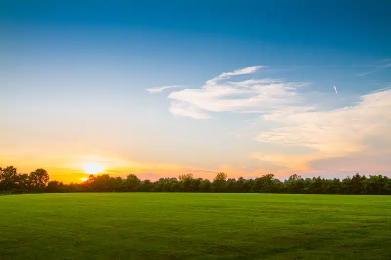 Synergy Recovery Center - Thumbnail 8