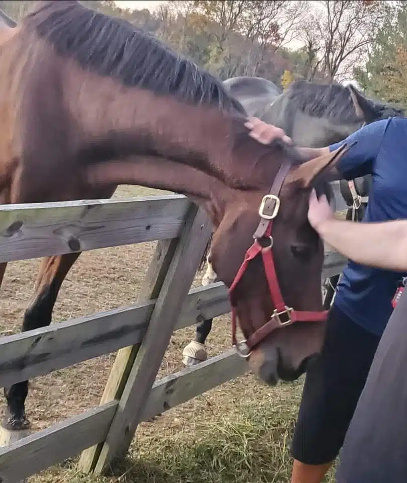 The Valley - Thumbnail 8