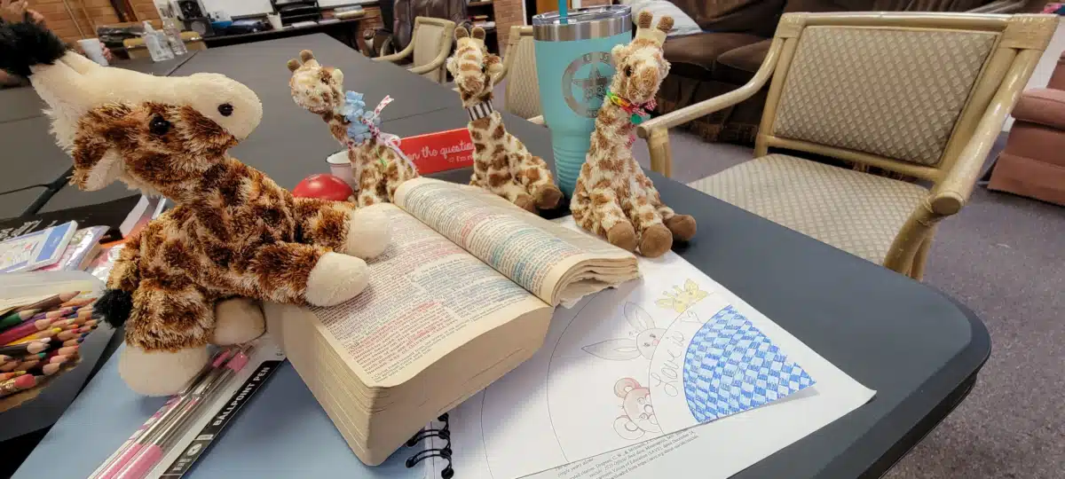 Thriving United - Thumbnail 9