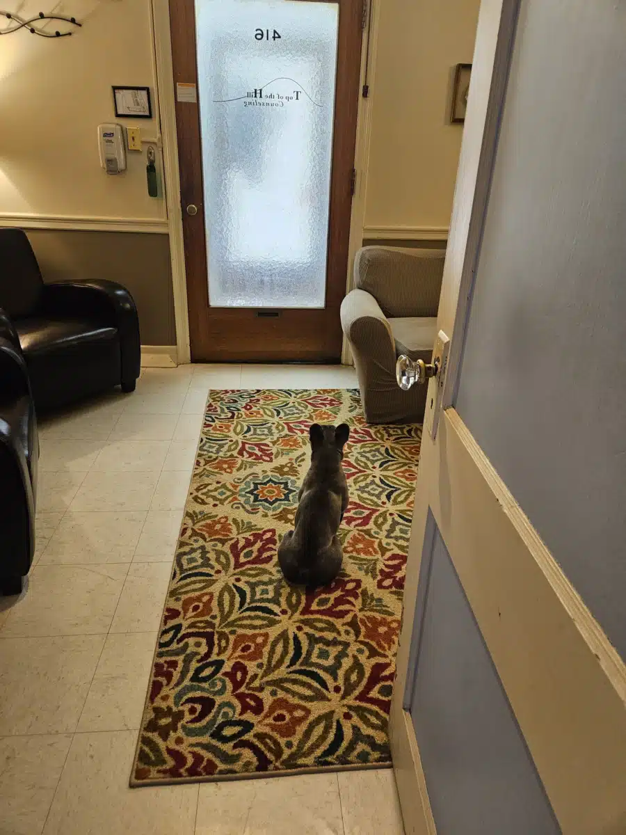 Top of the Hill Counseling - Thumbnail 4