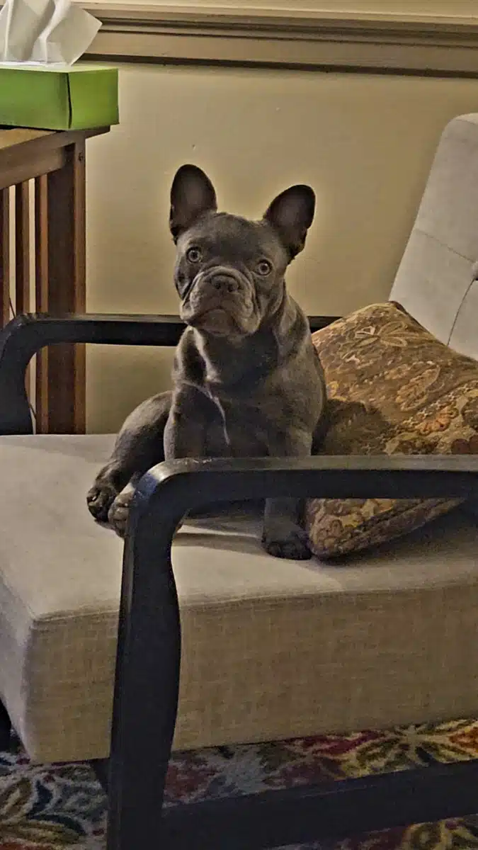 Top of the Hill Counseling - Thumbnail 7