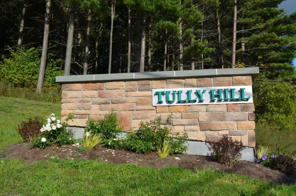 Tully Hill Corporation - Thumbnail 10