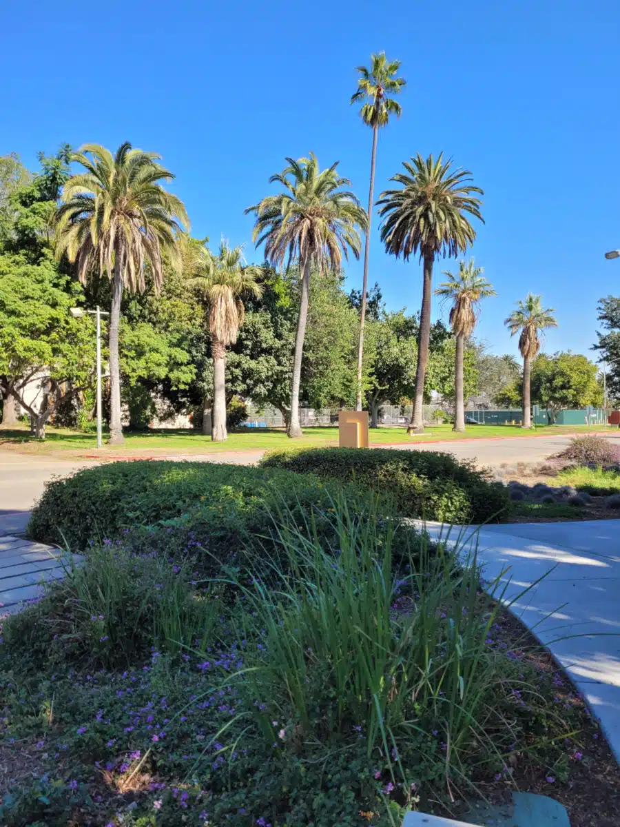 VA Greater LA Healthcare Systems - Thumbnail 3