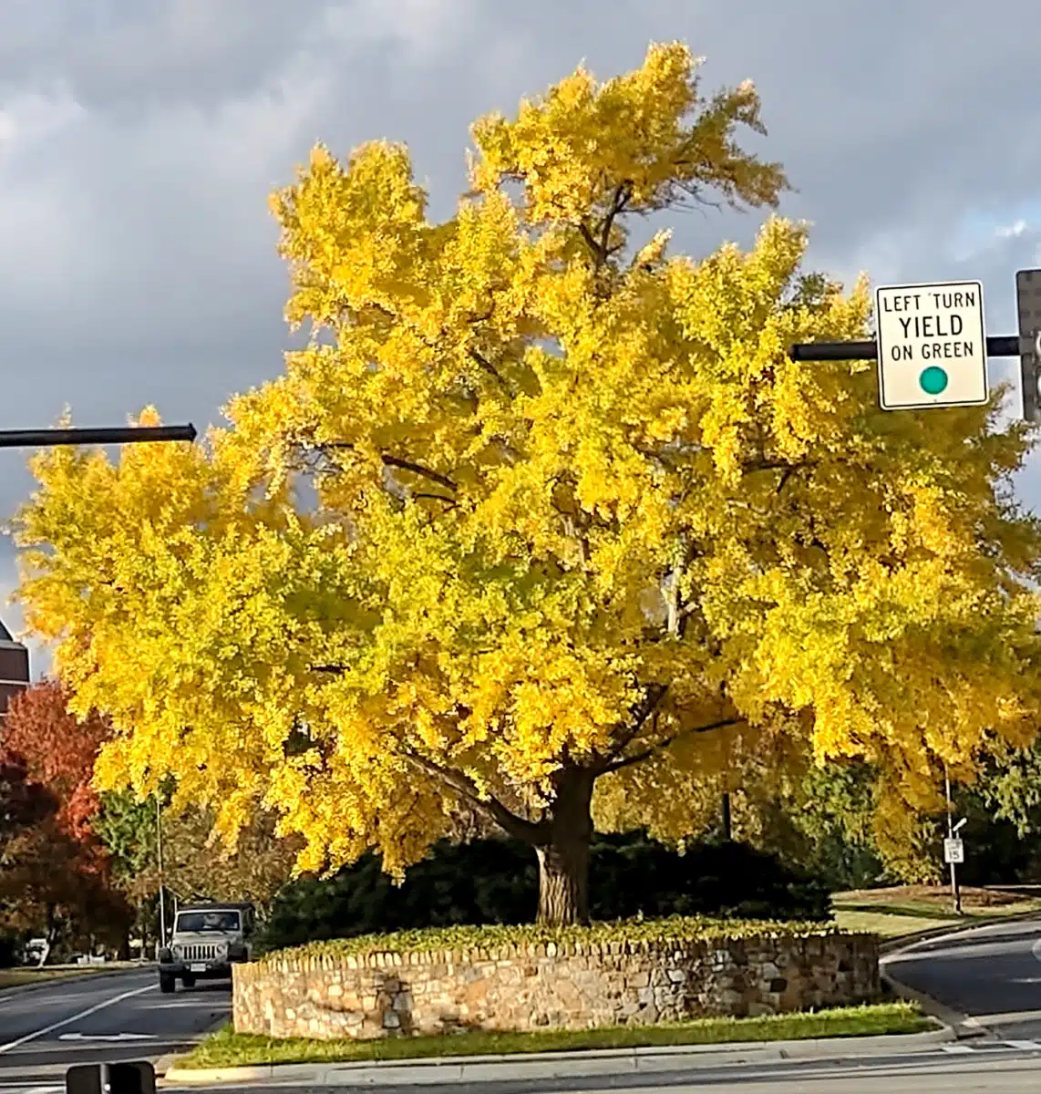 VAMED Health Group LLC - Thumbnail 7