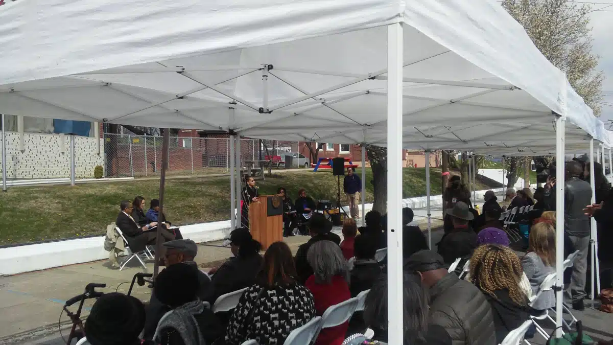 VOA Recovery - Thumbnail 7