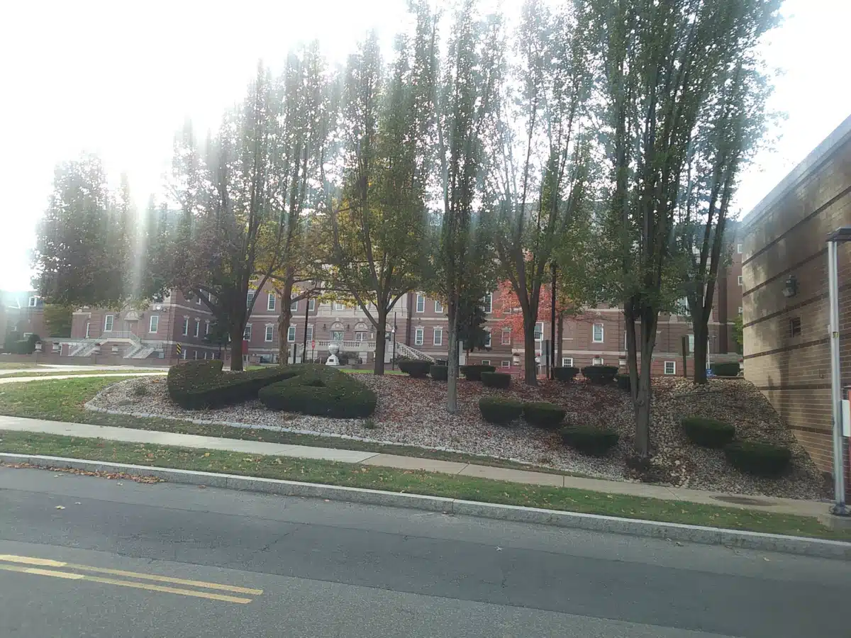 Veterans Affairs - Thumbnail 8