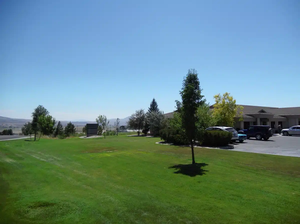 Vitality Integrated Programs Elko - Preview