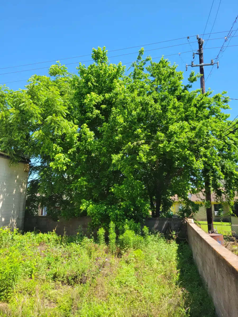 Volunteers of America Texas Inc - Thumbnail 4