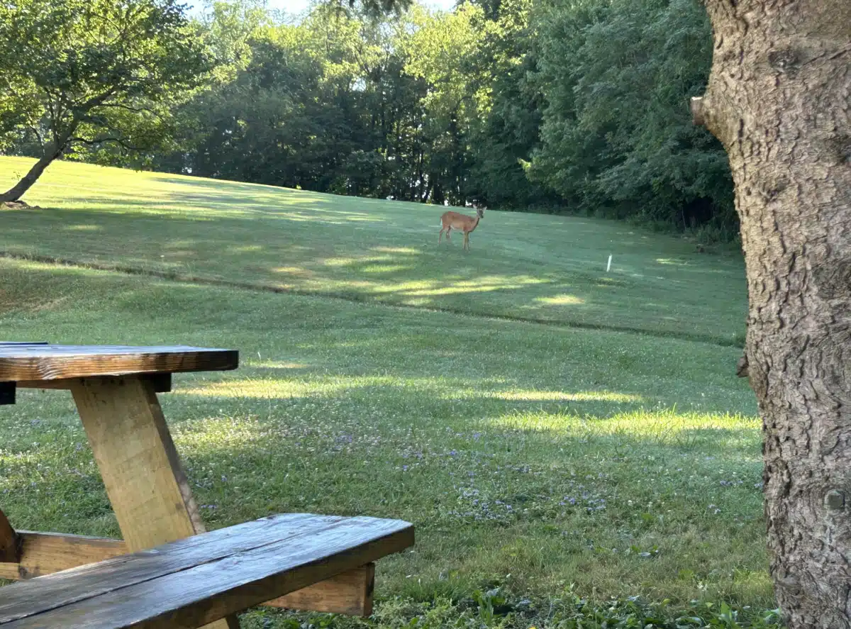 Western PA Adult and Teen Challenge - Thumbnail 5