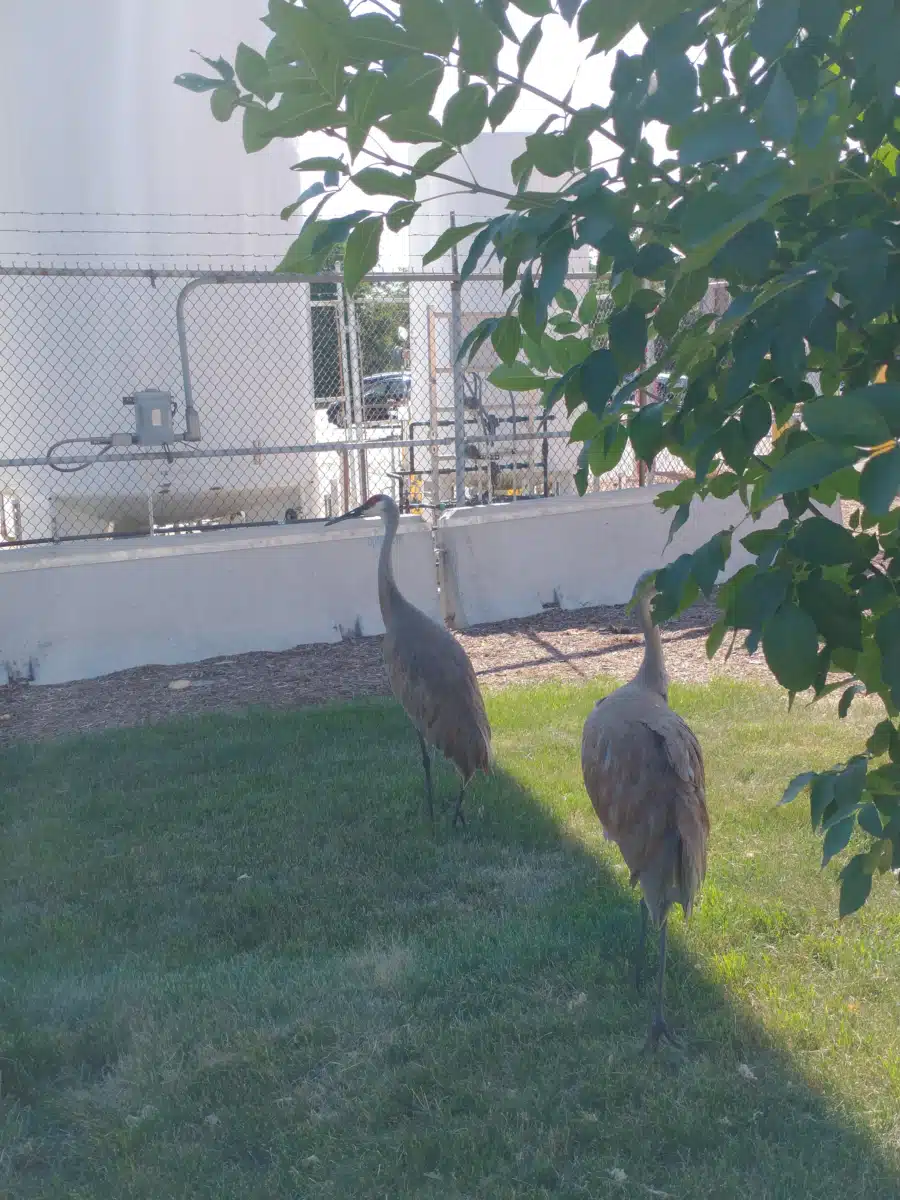 William S Middleton Veterans Hosp - Thumbnail 7