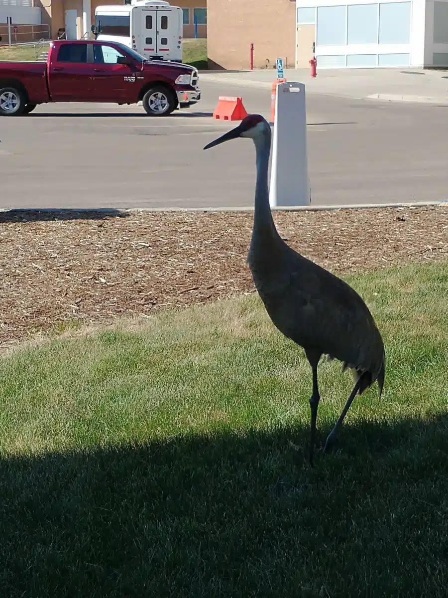 William S Middleton Veterans Hosp - Thumbnail 8