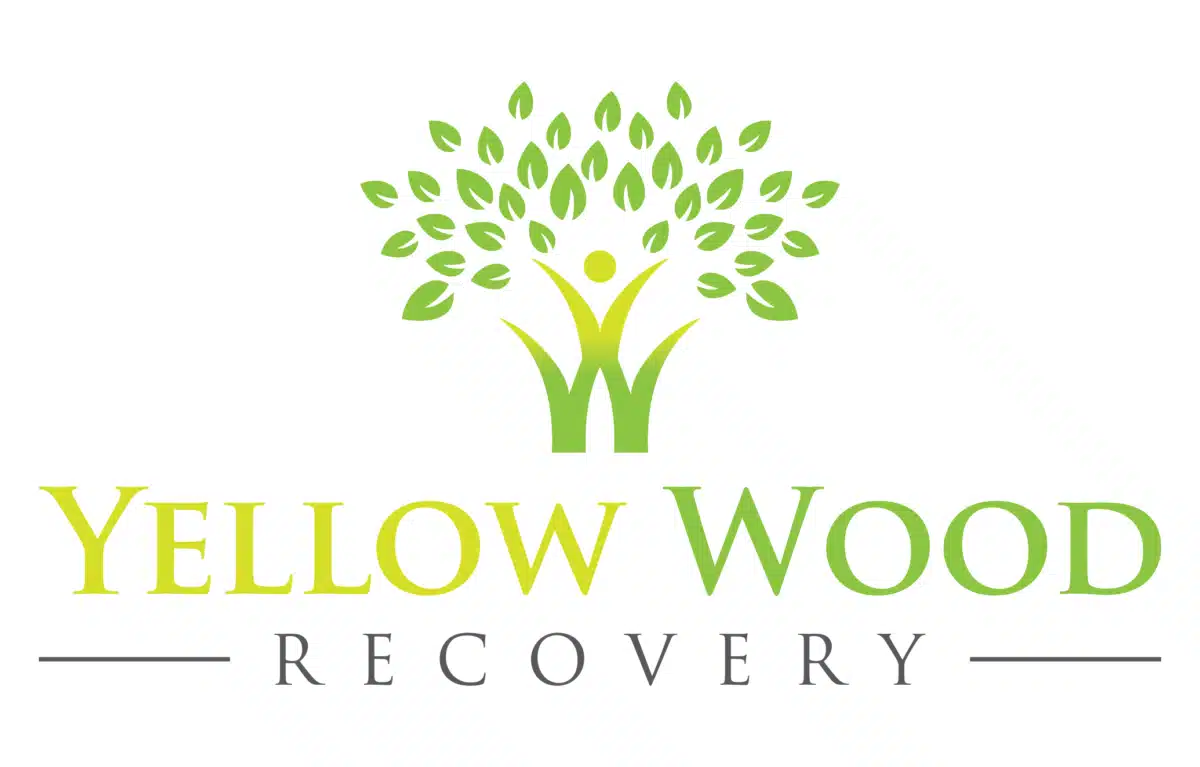 Yellow Wood Recovery - Thumbnail 2