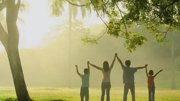 Yellowstone Recovery - Thumbnail 5